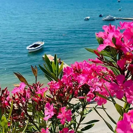 Bed and breakfast Bellavista 3*