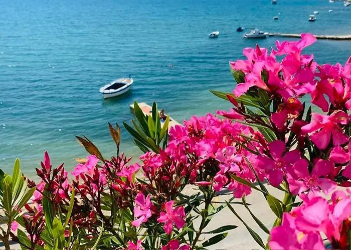 Bed & Breakfast Bellavista 3*